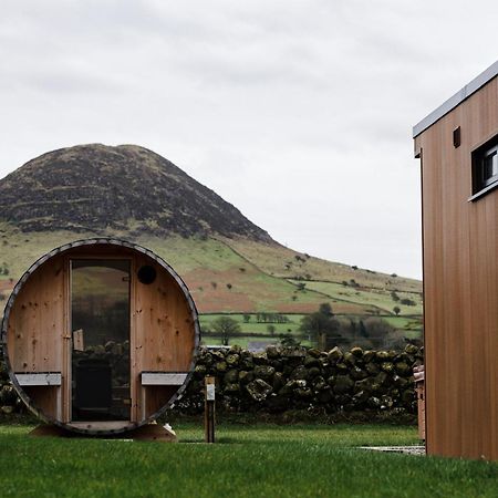 Villa Slemish Hideaway - Funky Pheasant Broughshane Exterior foto
